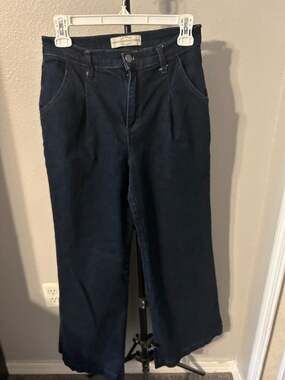 Divine Rights of Denim Dark Wash Pleated Wide Leg Trouser Jeans